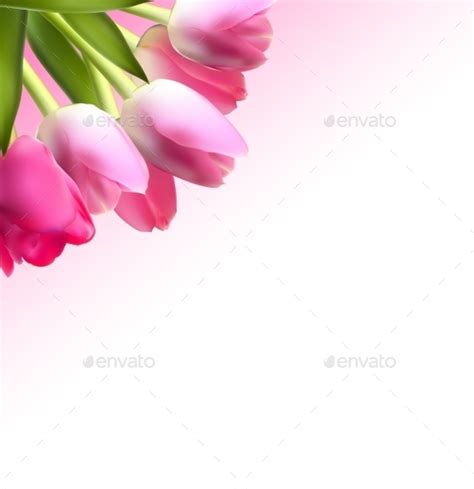 Background Powerpoint Bunga Pink Gambar Bunga