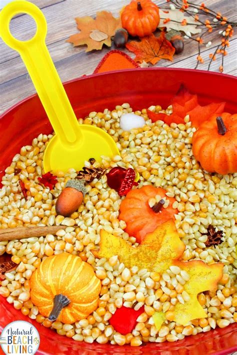 The season of fall has so many great activities and crafts that come along with it. Fall Sensory Bin for Toddlers and Preschoolers | Fall ...