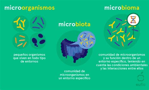 Qué es el microbioma y por qué es importante Eufic