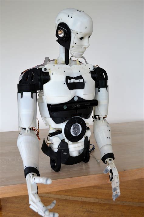 10 Robots De Services Humanoïdes Déjà Disponibles Frédéric Boisdron