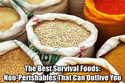You can rotate your pantry, but there will always be some foods that will take longer to use than others. The Best Survival Foods: Non-Perishables That Can Outlive ...