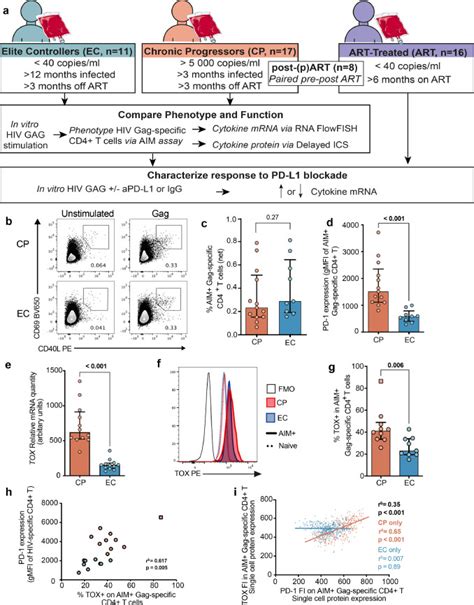 Immune Checkpoint Expression On Hiv Specific Cd4 T Cells And Response