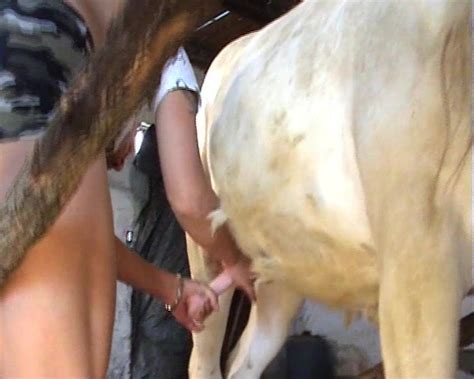 Prossy Takes Monster Cock Of Horse Into Vagina
