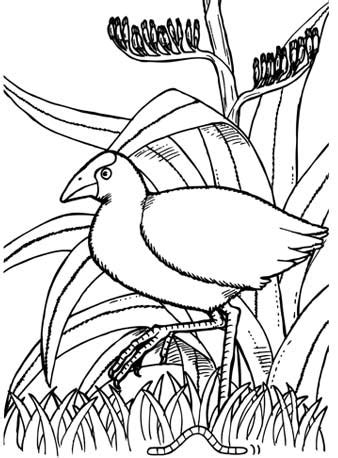 The quiver app combines physical coloring from back in the day with state of the art augmented reality technology to bring you and your children an extraordinarily magical experience. Quiver App Coloring Pages at GetColorings.com | Free ...