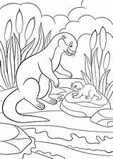 Otter Coloring Pages Cute Baby Mother River Looks Her Vector Illustrations Little Similar Clip Istockphoto sketch template