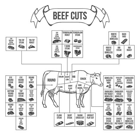 8 Primal Cuts Of Beef Explained Names Descriptions Location