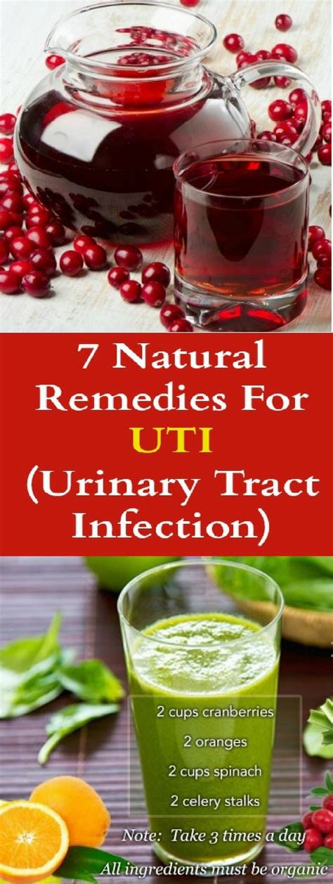 7 Natural Remedies For Urinary Tract Infection Bacteria Biofilm