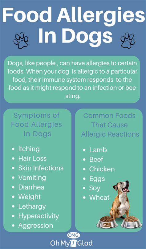 There are many ways to help manage your dog's allergies but, like ear infections, you need to find the root cause. What Dog Owners Ought to Know About Dog Food Allergy Diet ...