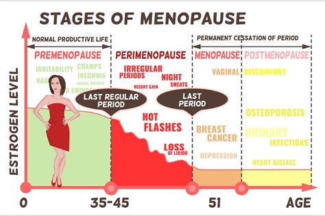 stages and symptoms of menopause education illustrations ~ creative market