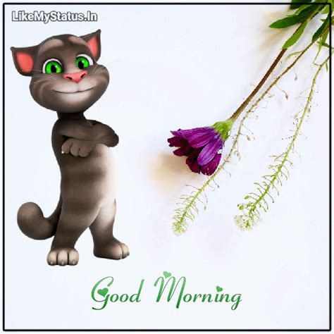 Wishing you an amazing sunday! 25+ Animated Good Morning Wishes Gif For Whatsapp ...