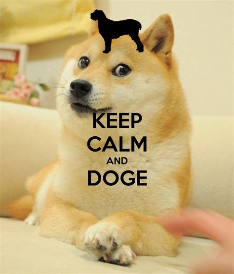 Doge Meme Backgrounds The Image Kid Has It
