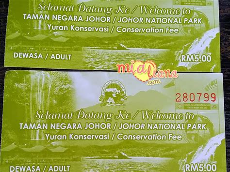 Explore the wilderness of taman negara, kuala tahan. Taman Negara Johor Tanjung Piai Pontian - Mia Liana