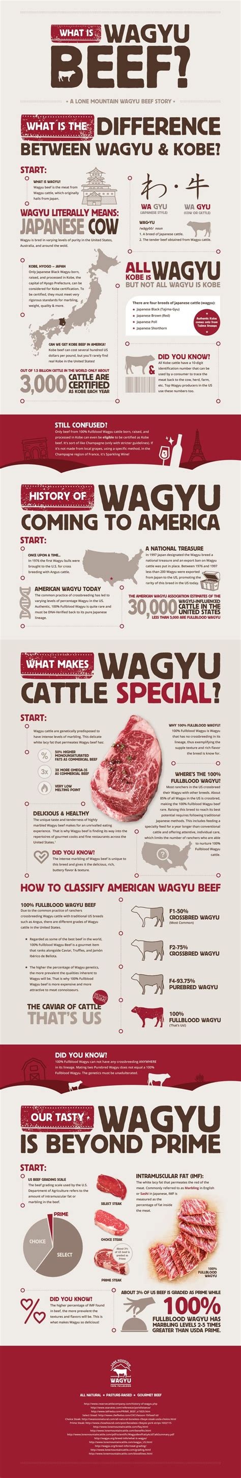 What Is Wagyu Beef Infographic Wagyu Beef What Is Wagyu Beef Hot Sex Picture