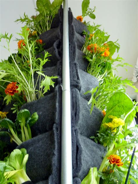 Aquaponic Vertical Vegetable Garden — Florafelt Living