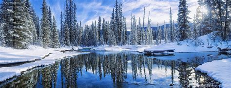 Winter Snow Reflection Forest Water River White Blue Nature Landscape Wallpapers Hd