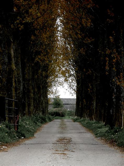 Lonely Road By Epickris On Deviantart