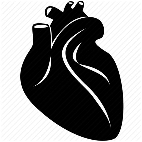 Heart Cardiology Icon Png Transparent Background Free Download 25464