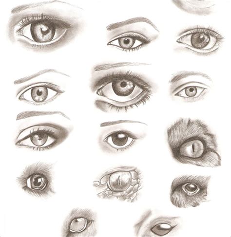 Different Types Of Eyes To Draw