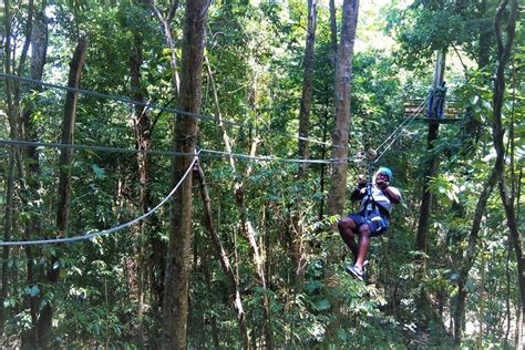 Canopy Zipline And Dunns River Falls Adventure Tour From Ocho Rios Triphobo