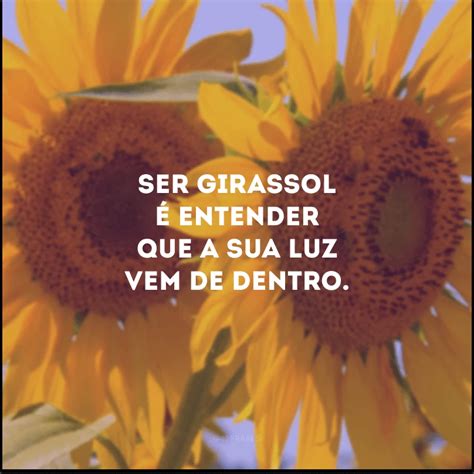 Imagem De Girassol Com Frases
