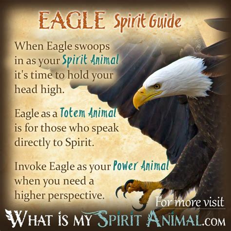 Eagle Symbolism And Meaning Spirit Totem And Power Animal