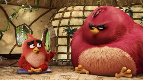Watch The Angry Birds Movie Free Movies Tubi