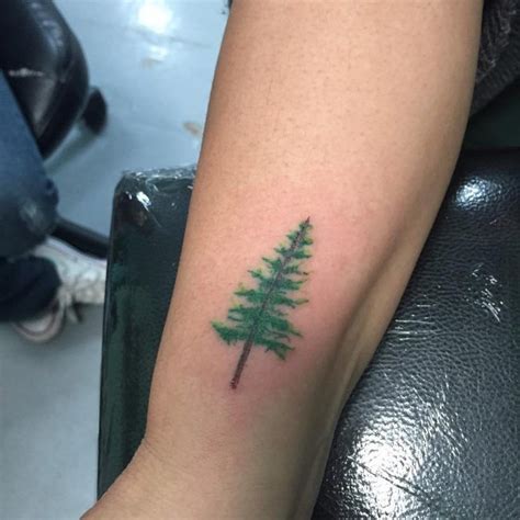 Tree Tattoo Pine Tree Tattoos Your Number One