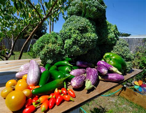4 fool proof steps to more nutrient dense vegetables in your garden off the grid news