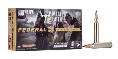 Best 300 Win Mag Ammo For Hunting Elk Deer And Other Big Game