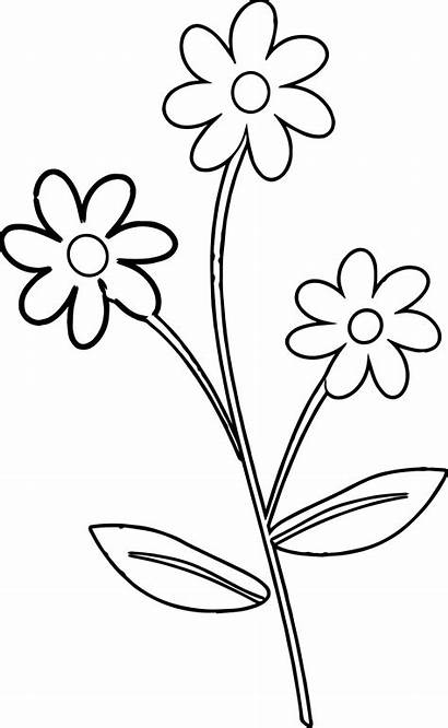 Coloring Flower Border Pages Marvelous Printable Getcolorings