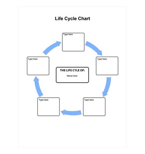 Life Cycle Chart Life Cycle Chart Template Porn Sex Picture