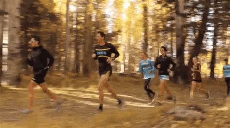 This list of gift ideas for runners will bring joy and practicality to those who enjoy the activity. Track And Field Running GIF by RunnerSpace.com - Find ...
