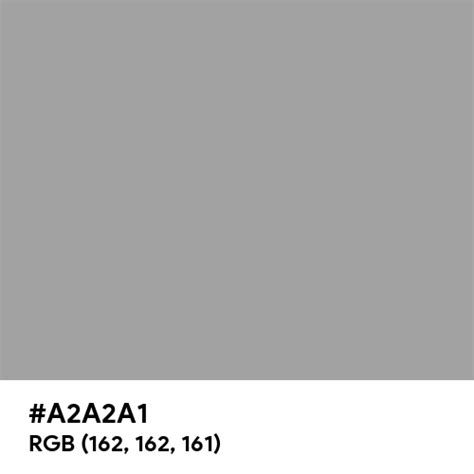 Silver Pantone Color Hex Code Is A2a2a1