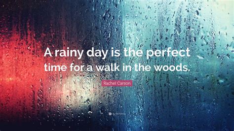 Rachel Carson Quote A Rainy Day Is The Perfect Time For A Walk In The
