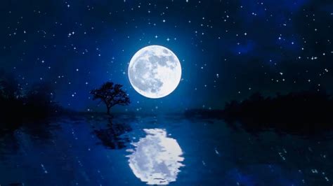 Night Moon Reflection On Water 3d Animated Nature Background Video No