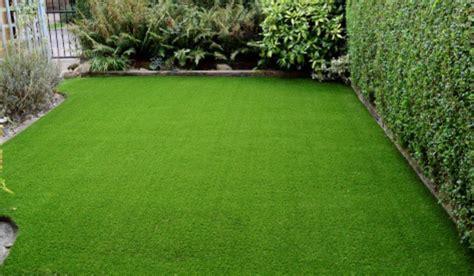 Garden Grass How To Cover Bare Patches With Bright Green Layer Housing News