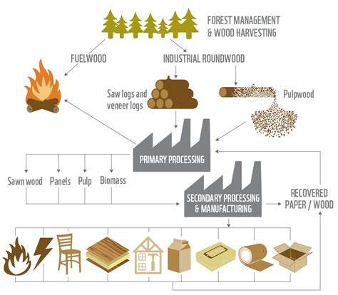 Industry Key To Conserving Forests As Demand For Wood Projected To