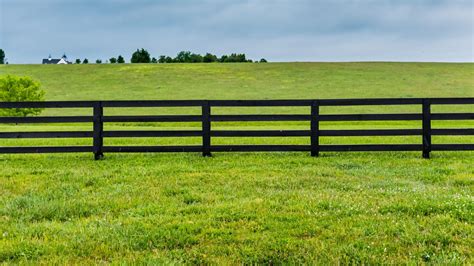 What Is The Best Horse Fencing Wood Board Or Woven Wire