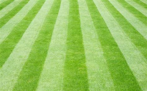 Lawn Striping Guide Pro Tips For The Best Stripe Pattern