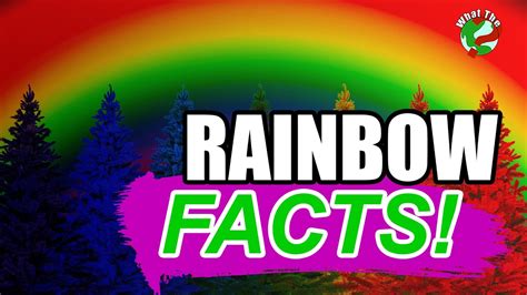 Interesting Facts About Rainbow 🌈 Whattheworld Youtube