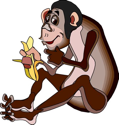 Cartoon Pictures Of Monkey