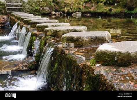 Stepping Stones On The Shimna River Tollymore Forest Park Stock Photo