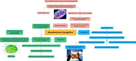 Mapa Conceptual De Metabolismo Celular Ilsi Images The Best Porn Website 10800 The Best Porn