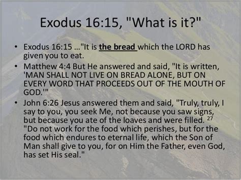 Exodus Chapters 15 And 16