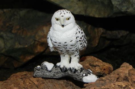Snowy Owl Figurine Wild Life Bird Of Prey Diorama Schleich