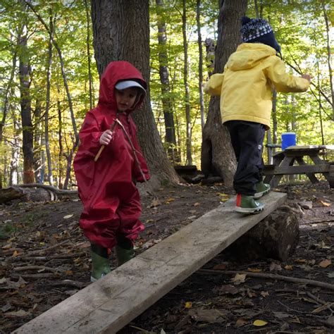 Forest Schools And Risky Play Storypark