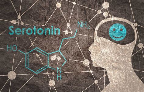 Cómo Aumentar La Serotonina Claves Para Regular El ánimo
