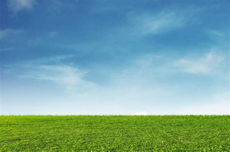 Green Grass Blue Sky Stock Photos Pictures And Royalty Free Images Istock