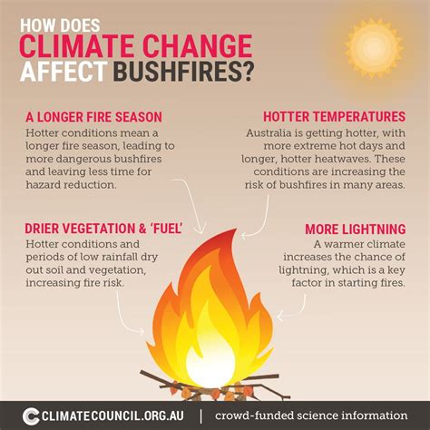 The facts about bushfires and climate change - Climate Council | Climate change facts, Climate 