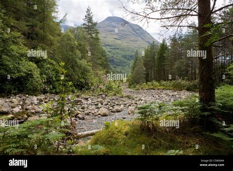 Rocky River Bed Stock Photo Alamy